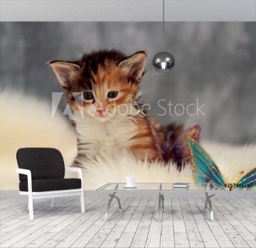 Picture of Sweet norwegian forest cat kitten sitting on sheep skin in studio portrait